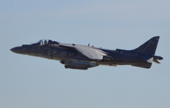 Harrier